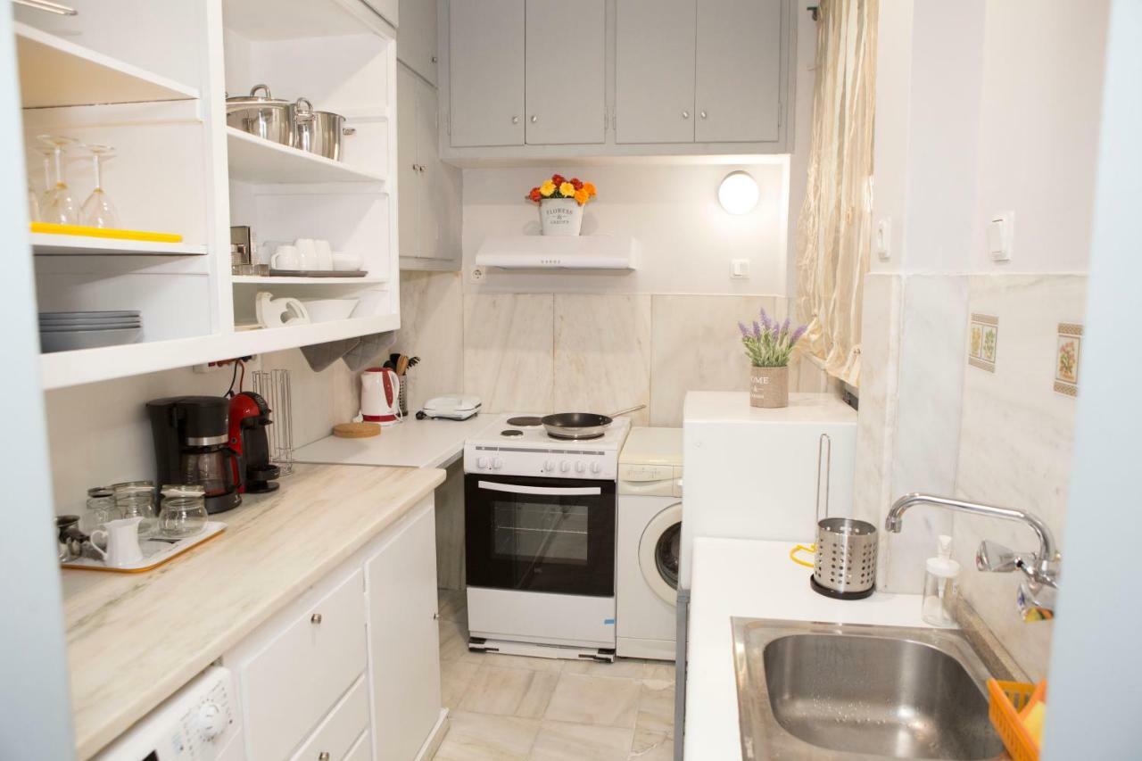 Athens Center Spacious Luxury Apartment 외부 사진
